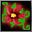 HP Recovery Herbal plant of Ruins.png